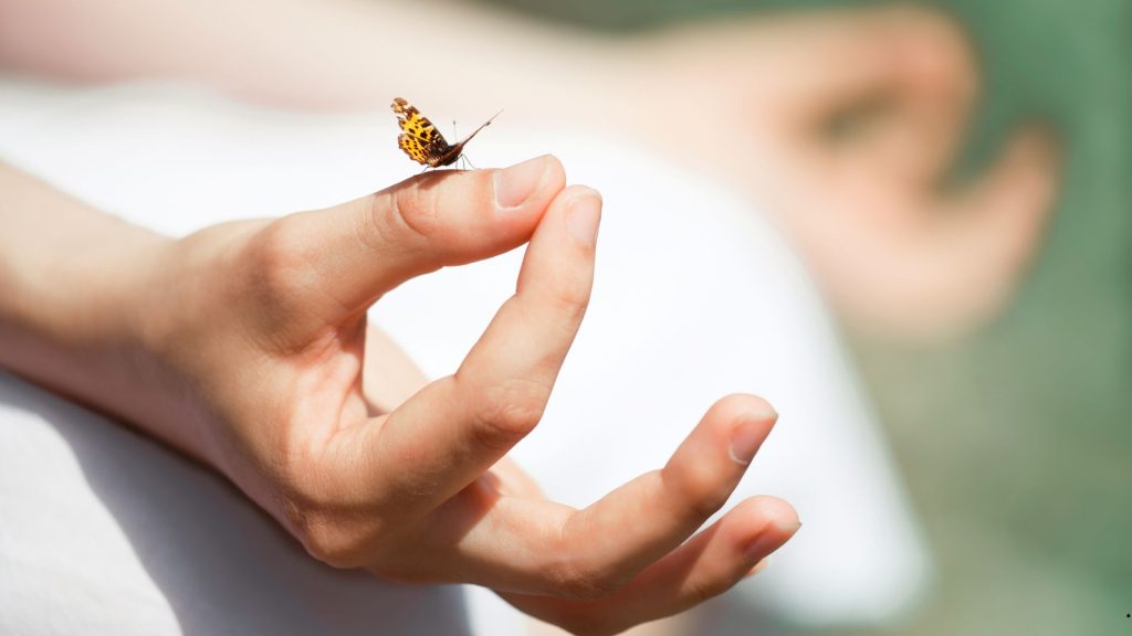 Os efeitos visíveis da Meditação